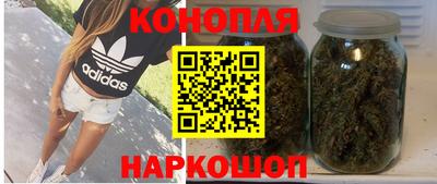 прущие грибы Тулун